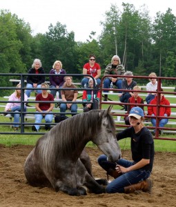 JS-Horse-Joan-Legend2