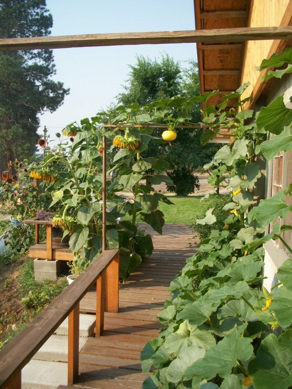 garden-deck2-8-21-13