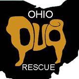 ohiopugrescue