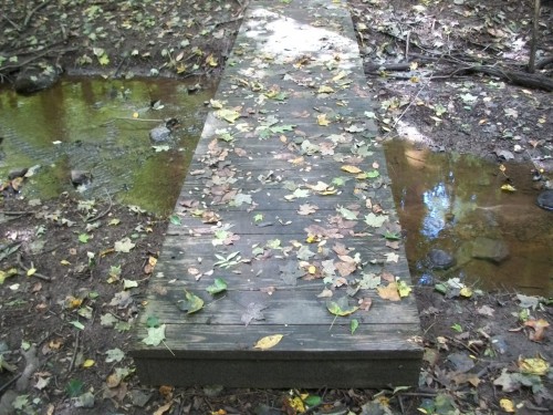 bridge