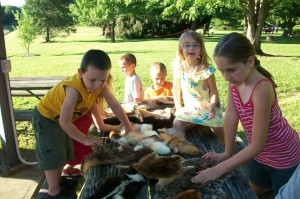 animal skins