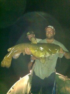 huge fish