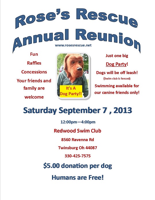 reunion_flyer_2013