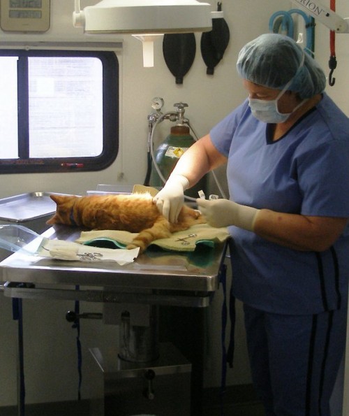 Dr. kathy