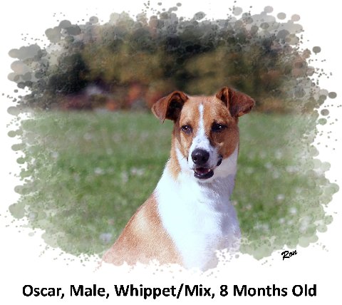 Oscar