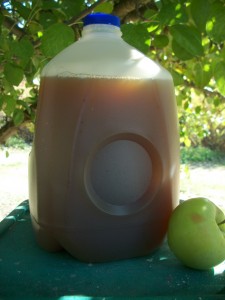cider-day5
