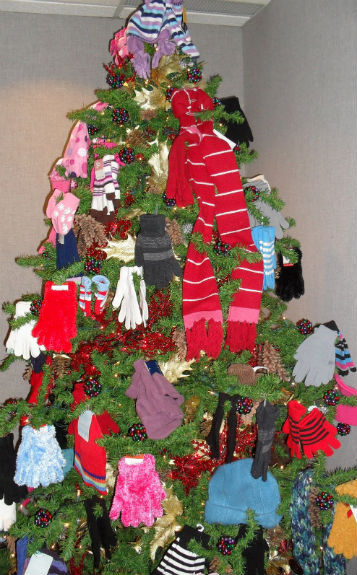 Mitten tree