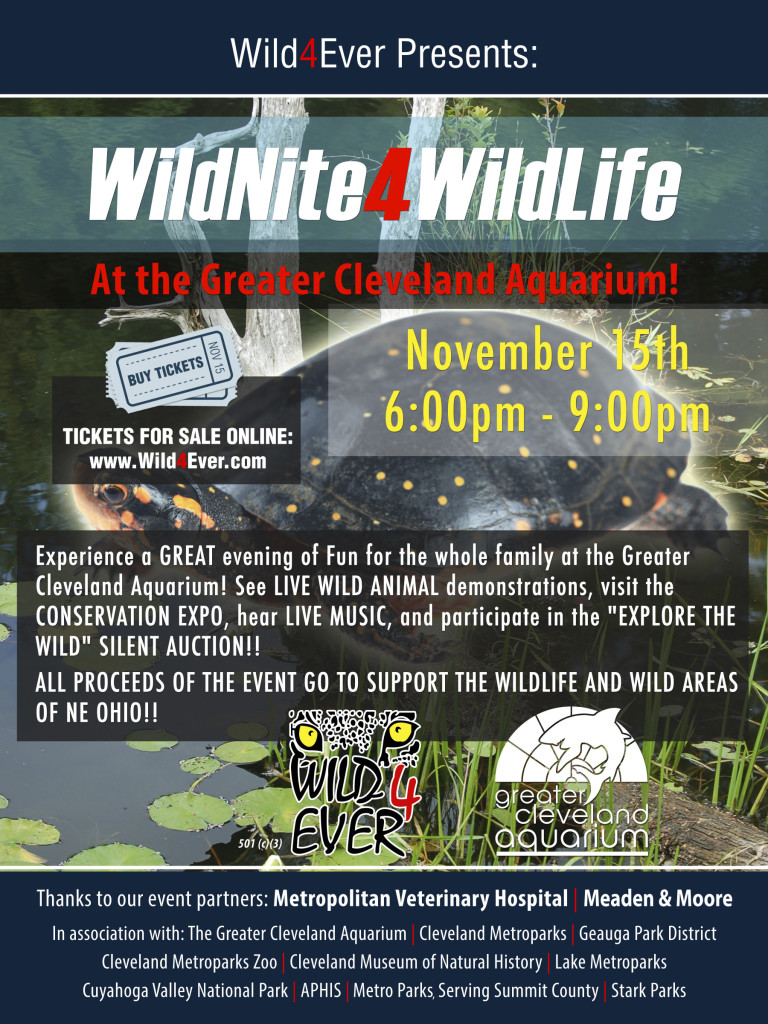 wildnite4wildlife-poster