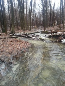 Dix-Carrie Knight Wilcox