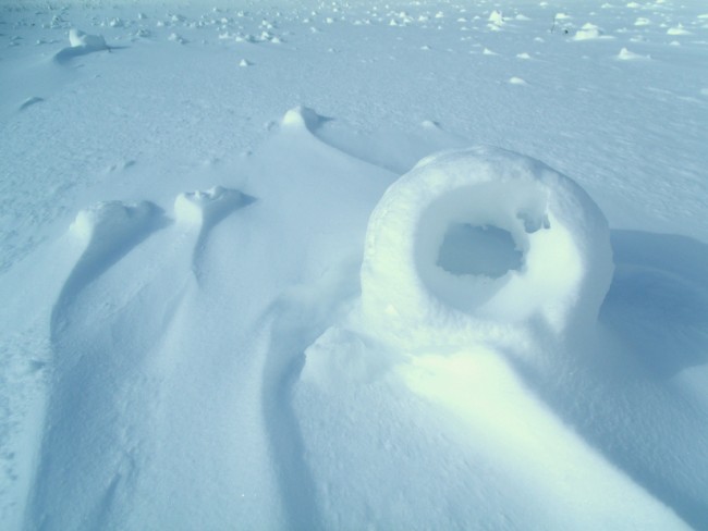 GEDSC DIGITAL CAMERA