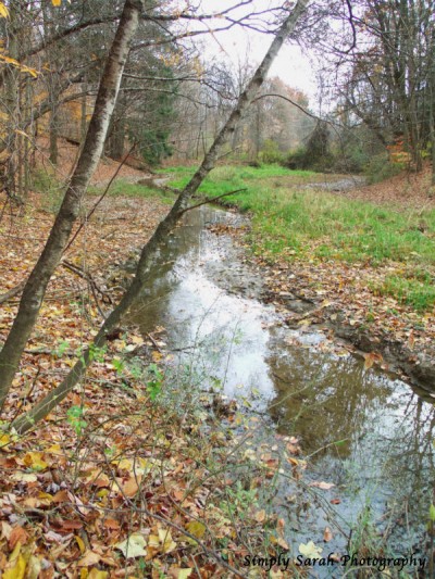 C4PP-Nov2013-Dix-Park-4