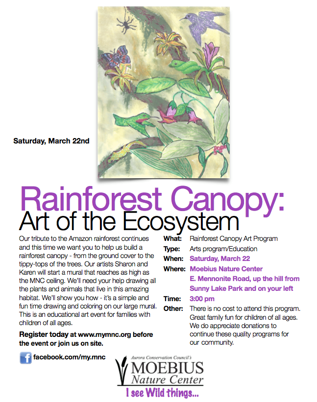 Rainforest program