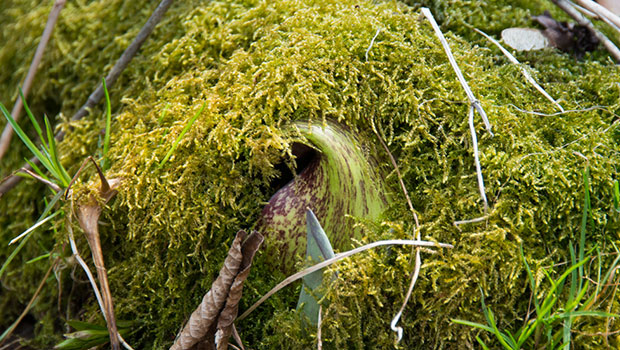 Chagrin Headwaters Tour