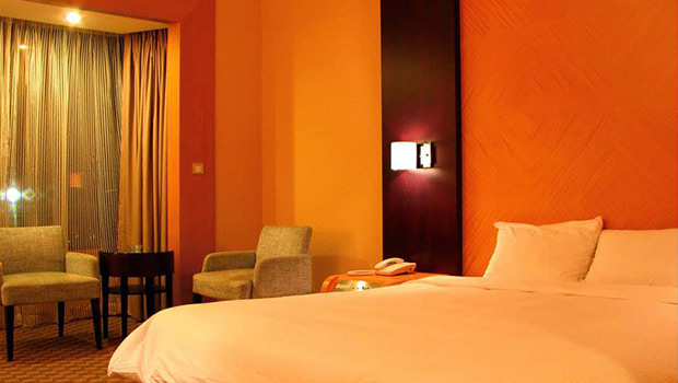 Design Consultations