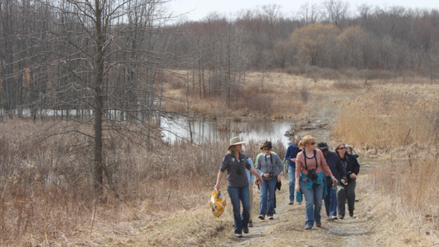 Breakneck-Creek-hike