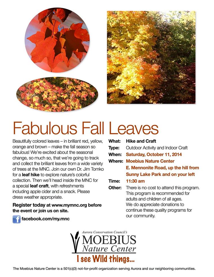moebius-fall 2014